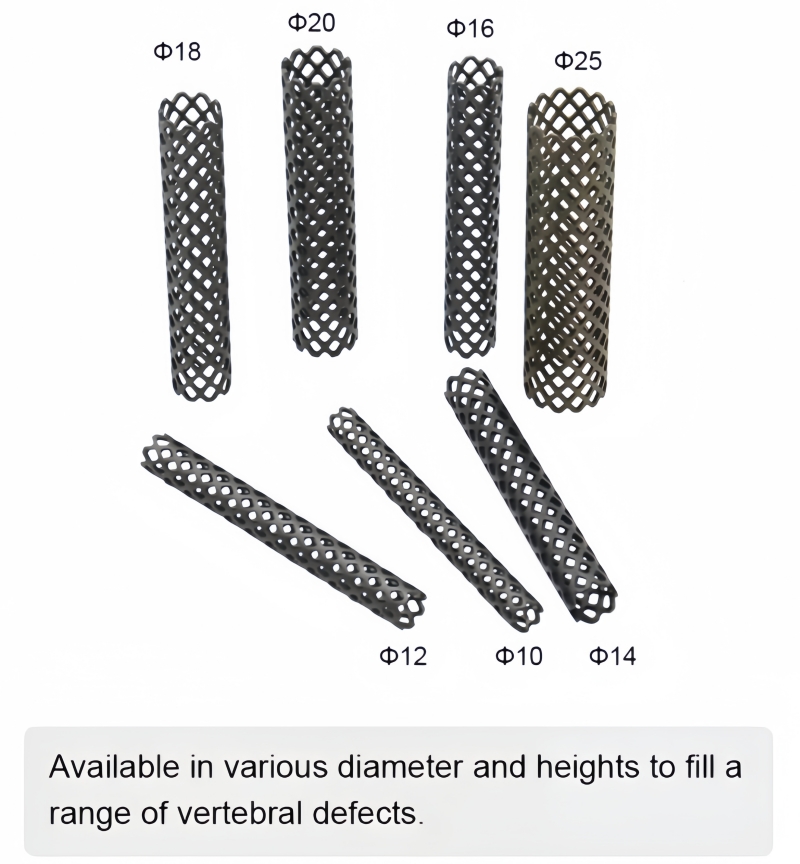 Titanium Mesh Cage