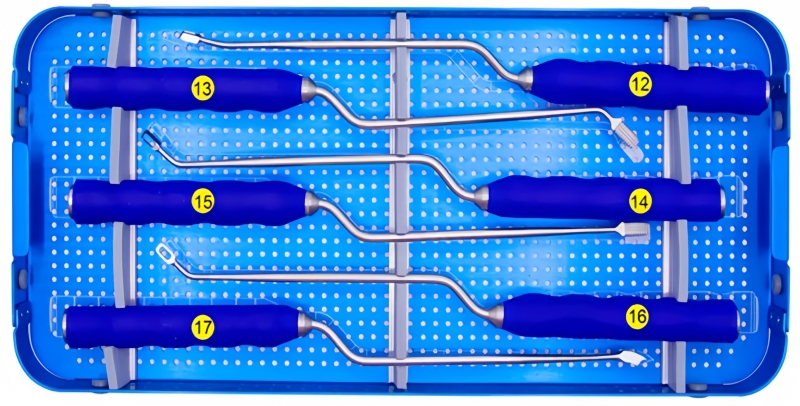 T-PAL Peek Cage Instrument Set